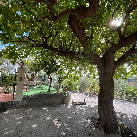 Casa Vinciguerra Villa Giardini Naxos Exterior foto